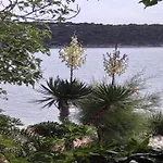 Apartman Rab With Private Dock And Sea Views Rab Town